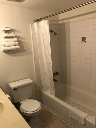 Basic Oda, 1 En Büyük (King) Boy Yatak, Şehir Manzaralı