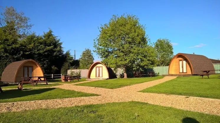 Camping MegaPod