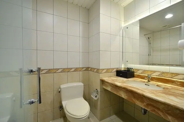 Superior Büyük Yataklı Tek Kişilik Oda