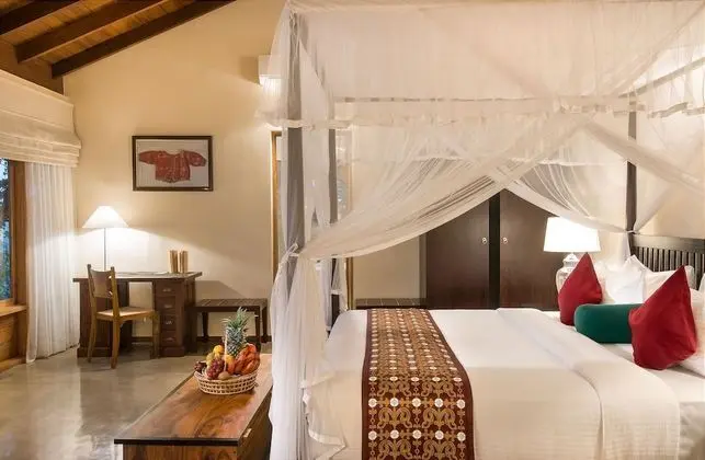 Luxury Süit