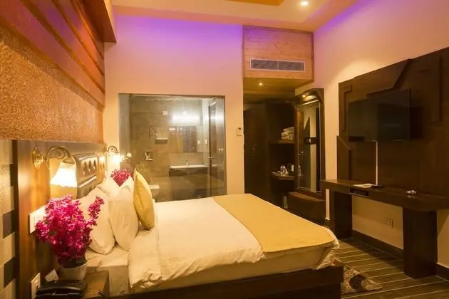 Luxury Oda, 1 En Büyük (King) Boy Yatak, Engellilere Uygun, Şehir Manzaralı