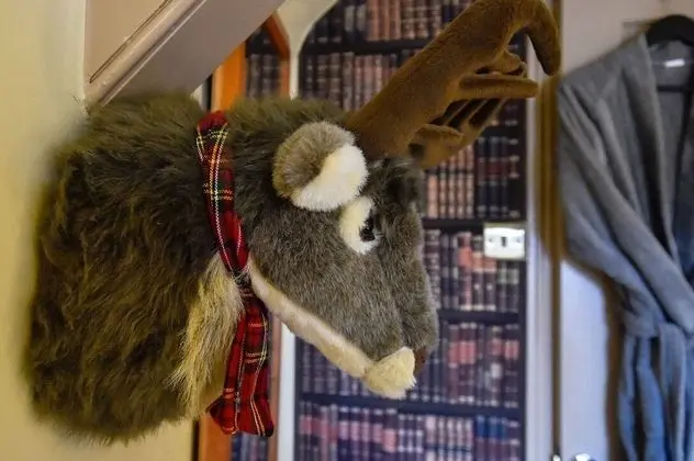 Deluxe Double or Twin Room (5)