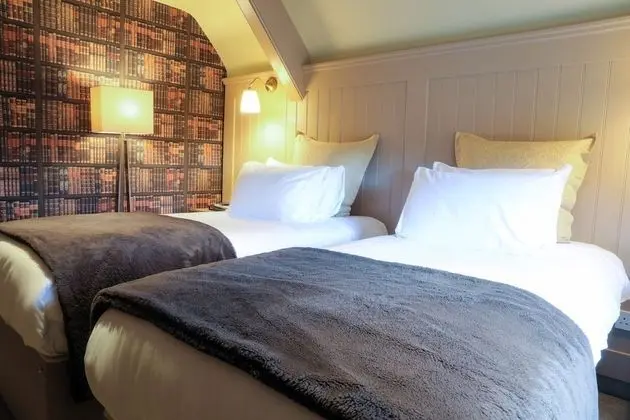 Deluxe Double or Twin Room (5)