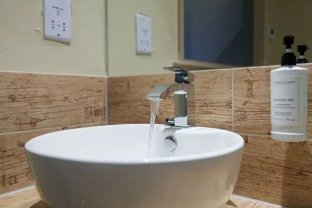 Deluxe Double or Twin Room (5)