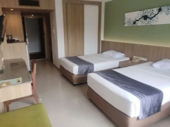 Deluxe Tek Büyük veya İki Ayrı Yataklı Oda