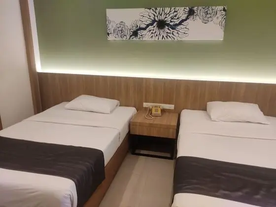Deluxe Tek Büyük veya İki Ayrı Yataklı Oda