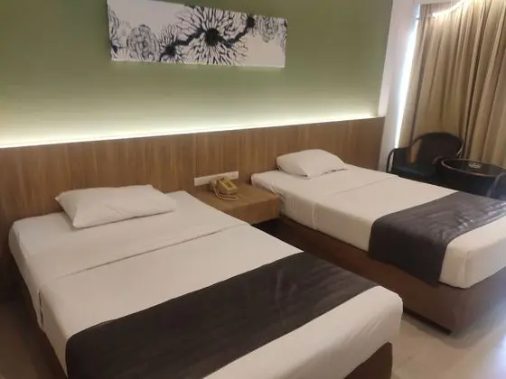 Deluxe Tek Büyük veya İki Ayrı Yataklı Oda