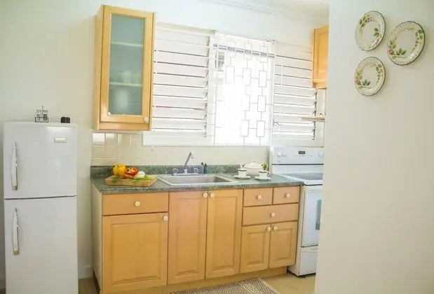 Deluxe Apart Daire, 1 En Büyük (King) Boy Yatak, Mutfak, Şehir Manzaralı