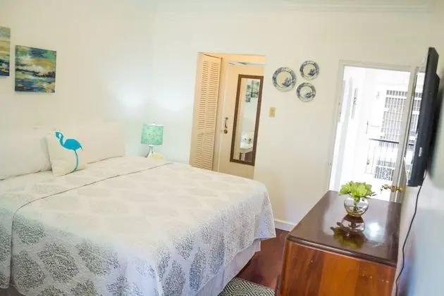 Deluxe Apart Daire, 1 En Büyük (King) Boy Yatak, Mutfak, Şehir Manzaralı