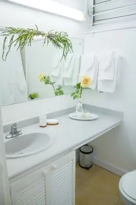 Deluxe Apart Daire, 1 En Büyük (King) Boy Yatak, Mutfak, Şehir Manzaralı