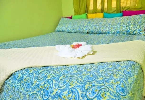 Exclusive Apart Daire, 1 Yatak Odası, Mutfak, Dağ Manzaralı