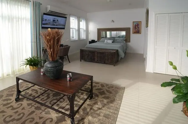 Executive Apart Daire, 1 Yatak Odası, Executive Katı