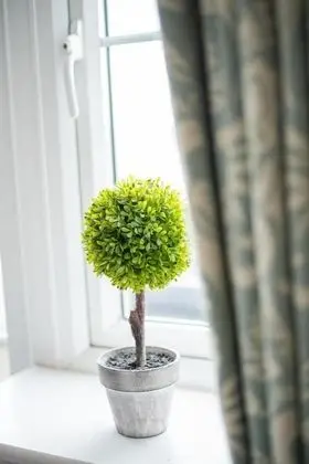 Standard Tek Büyük Yataklı Oda, Deniz Manzaralı