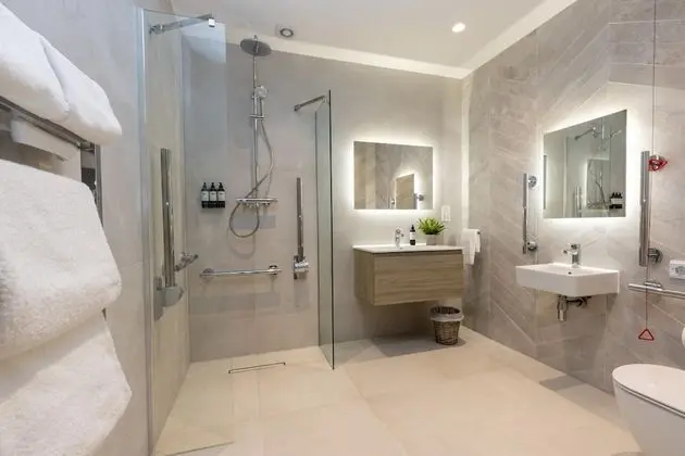 Deluxe Tek Büyük Yataklı Oda, Engellilere Uygun, Banyolu/Duşlu