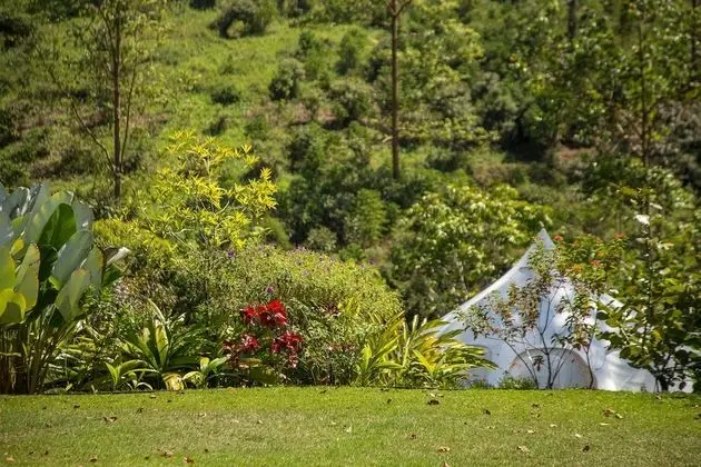 Signature Lotus Belle Tent Double Bed