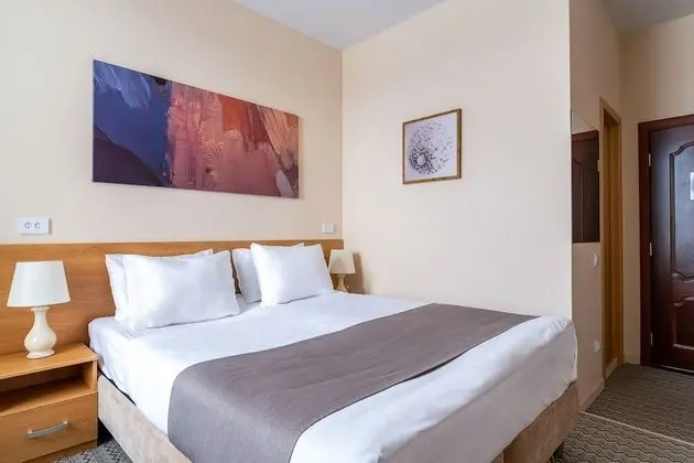 Deluxe Tek Büyük veya İki Ayrı Yataklı Oda