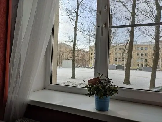 Family Oda (8 adults)