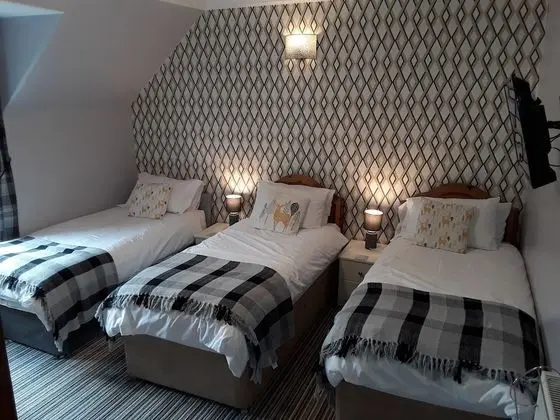 Üç Kişilik Oda, Özel Banyo (Room 2)