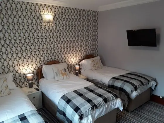Üç Kişilik Oda, Özel Banyo (Room 2)