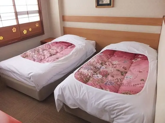 Standard Oda, Sigara İçilmez, Dağ Manzaralı (Tatami Area - Room Only)