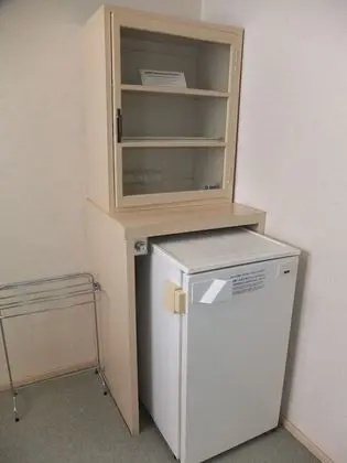 Standard Oda, Sigara İçilmez, Dağ Manzaralı (Tatami Area - Room Only)