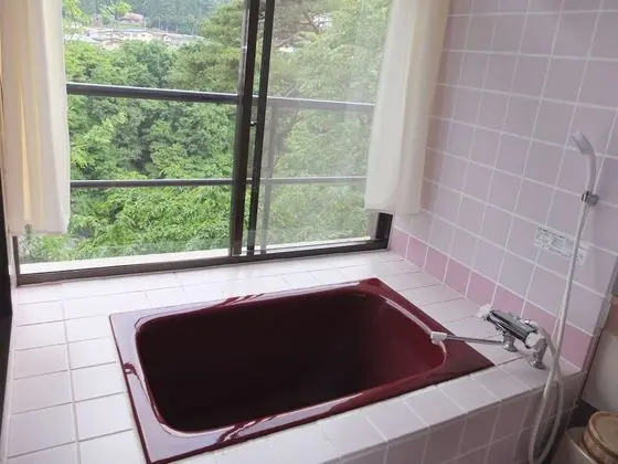 Traditional Oda, Nehir Manzaralı (Japanese Style, Deluxe - Room Only)