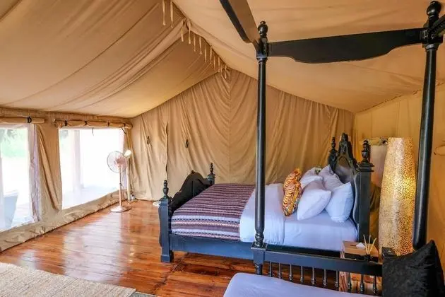 Luxury Çadır