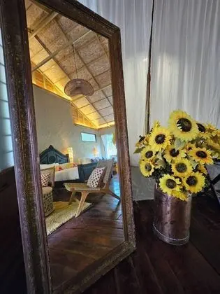 Oda