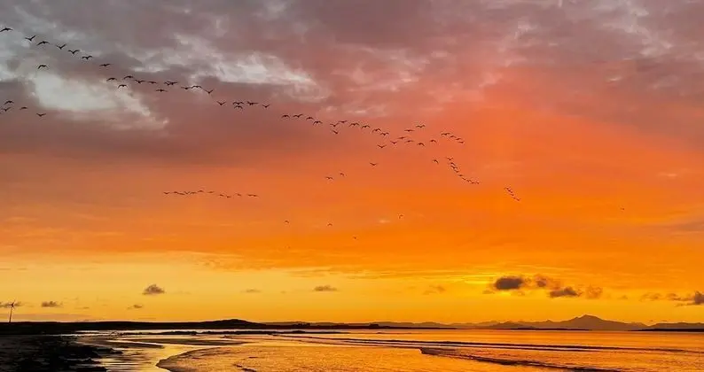 Kulübe, 1 Büyük (Queen) Boy Yatak