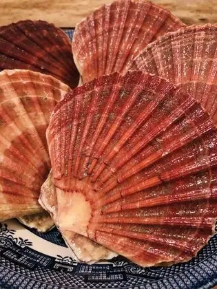 Kulübe, 1 Büyük (Queen) Boy Yatak