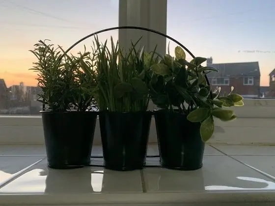 Comfort Ev, Engellilere Uygun, Ortak Banyo