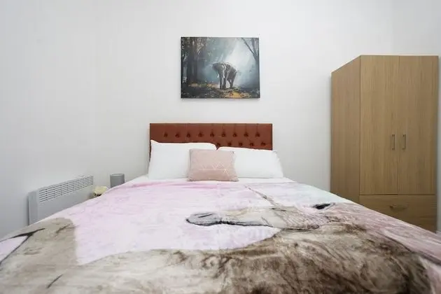 Superior Apart Daire, Özel Banyo (Flat 2 )