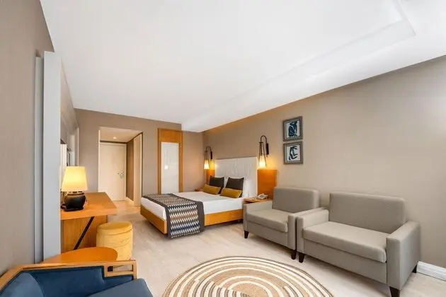 https://images.etstur.com/files/images/hotelImages/TR/212295/l/Kirman-Sidera-Luxury---Spa-Oda-397247.jpg