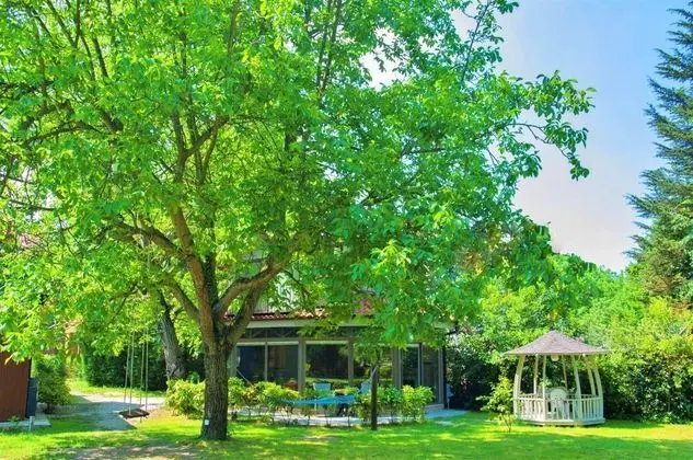 Junior Garden Villa Oda