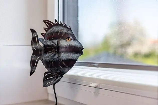 Kirschgarten 9 - Seestern