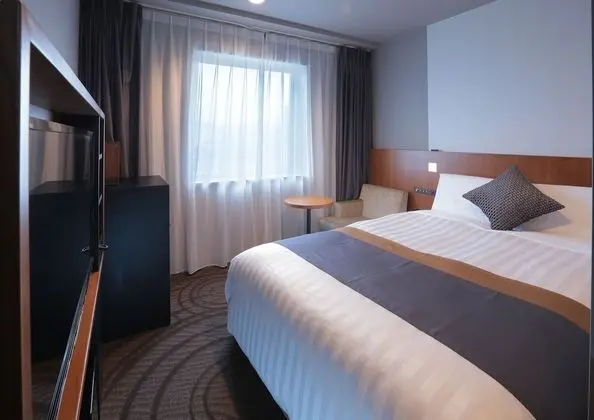 Economy Tek Büyük Yataklı Oda, Sigara İçilmez (Standard Semi-double Room)