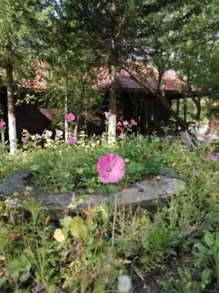 Family Kır Evi, 1 Yatak Odası