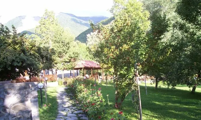 Standard Kır Evi