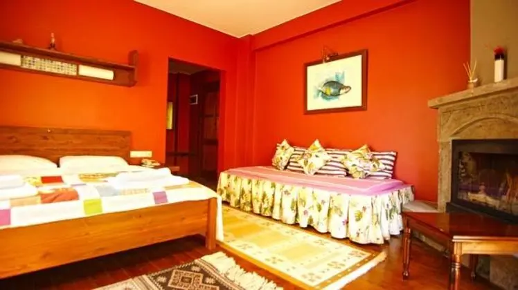 Şömineli Standart Oda, Doğa Manzaralı, Teraslı