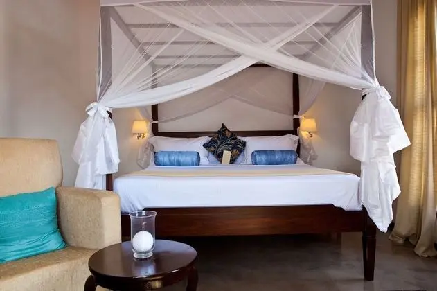 Deluxe Tek Büyük Yataklı Oda (Burdani)