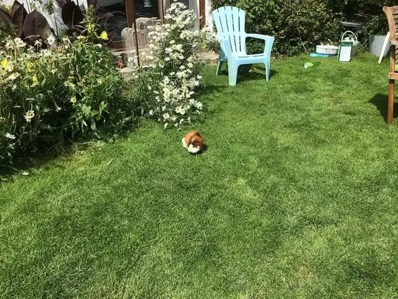 Kulübe, 1 Büyük (Queen) Boy Yatak