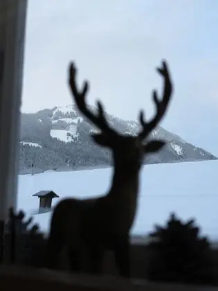 Deluxe Apart Daire, 2 Yatak Odası, Balkon, Dağ Manzaralı (incl. cleaning fee 110 EUR)