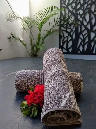 Kır Evi (The Bower)