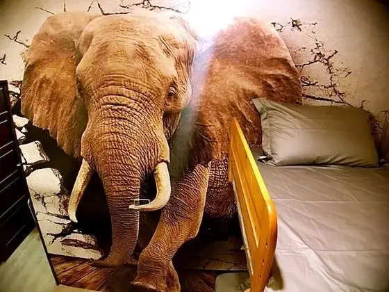 Standard İki Ayrı Yataklı Oda ( 3B)