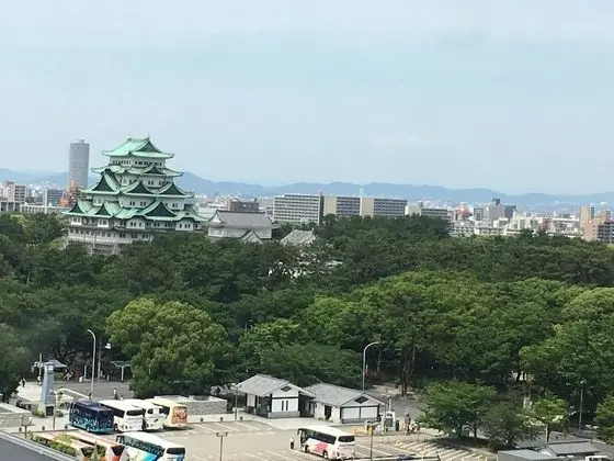 Tek Büyük Yataklı Oda (King Room, Castle View)