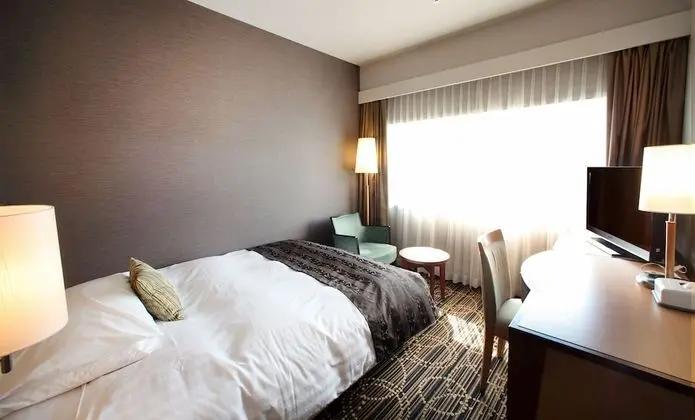 Deluxe Tek Kişilik Oda, 1 Çift Kişilik Yatak