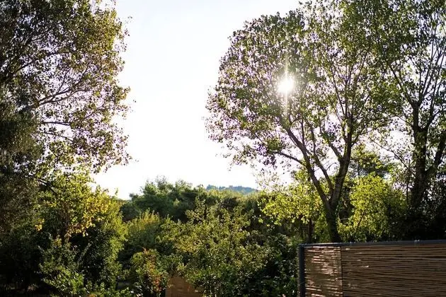 Stüdyo (Aurora)