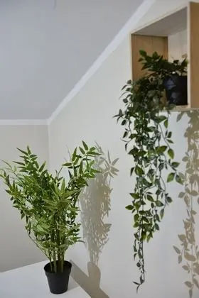 Tek Büyük Yataklı Oda, Ortak Banyo