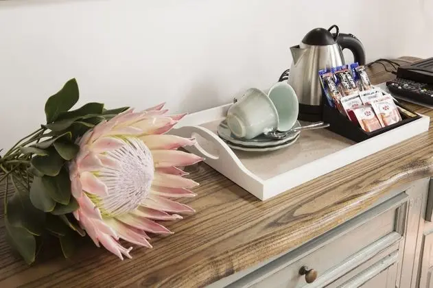 Superior Tek Büyük Yataklı Oda, 1 En Büyük (King) Boy Yatak