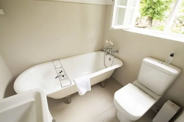 Superior Tek Büyük Yataklı Oda, 1 En Büyük (King) Boy Yatak